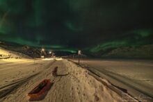 Dixie waiting for me to finish my photo shoot Dixie waiting