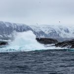 The years first bird safari at the 6th of April and the sea is still pretty rough. Rough sea