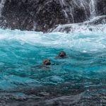 Two seals in the clear green/blue sea. Seals