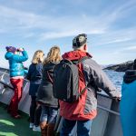 Always some birds to watch, keep your focus. The great view