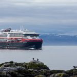 MS Roald Amundsen is arriving and some comorants is checking out this new ship Roald Amundsen