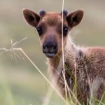 Can't get much cuter than this...... Cute